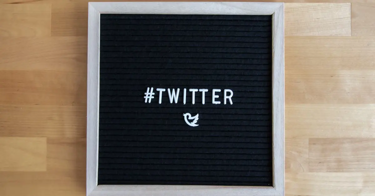 Open Graph e Twitter Cards: como melhorar o compartilhamento