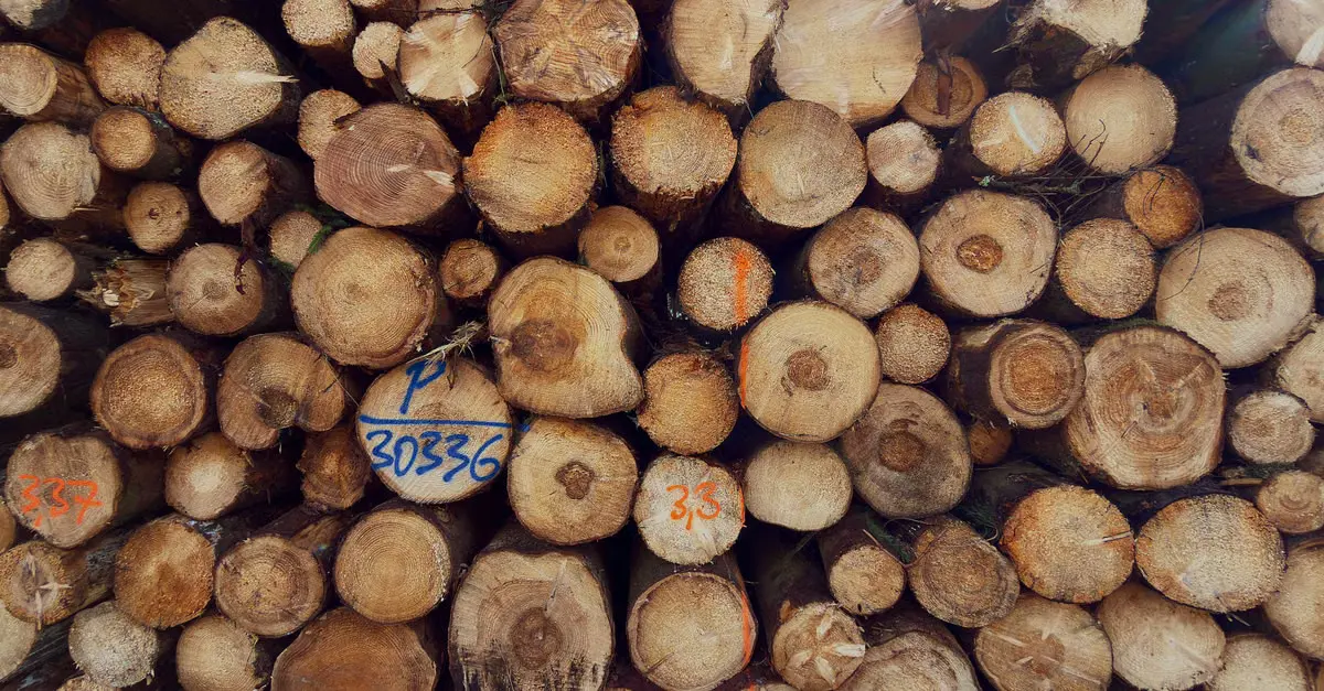 Como estruturar a correlação de logs em sistemas de IA de voz? — correlacionar logs chamada IA