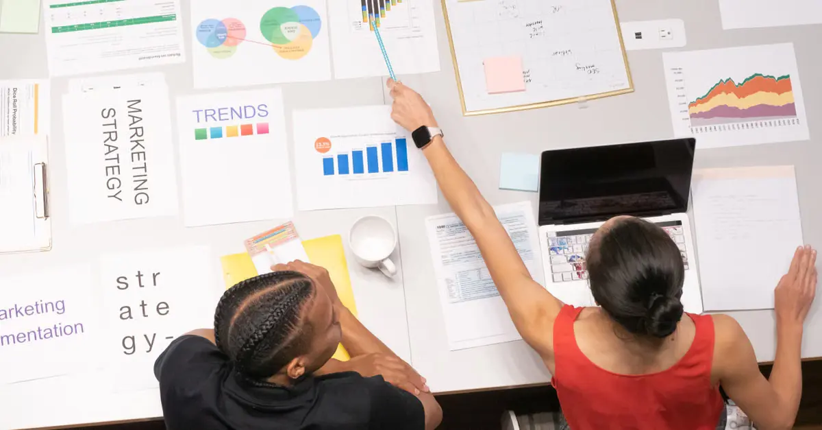 Critérios para escolher a taxonomia ideal: o que considerar antes de implementar