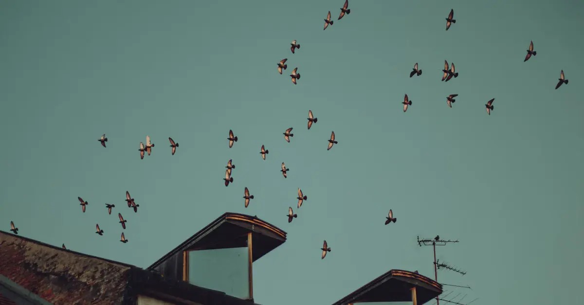 Quando a migração de arquitetura faz sentido (e quando não faz)